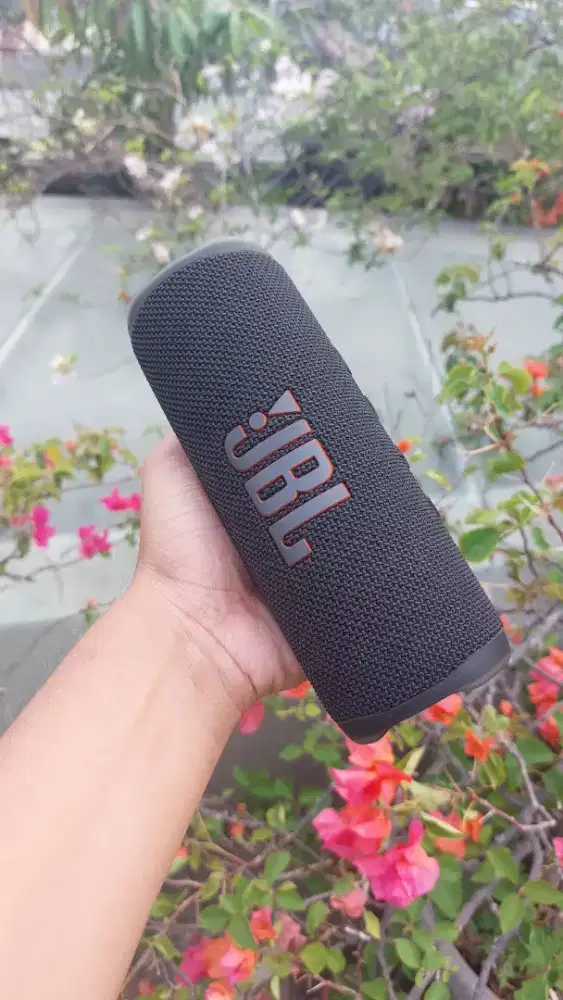 Jbl flip 6 original