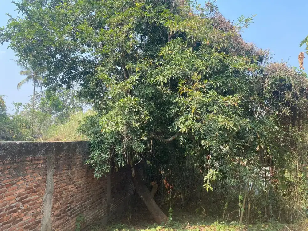 Jual Ruko Pinggir Jalan Desa Cikopak Purwakarta Lt 200 m2