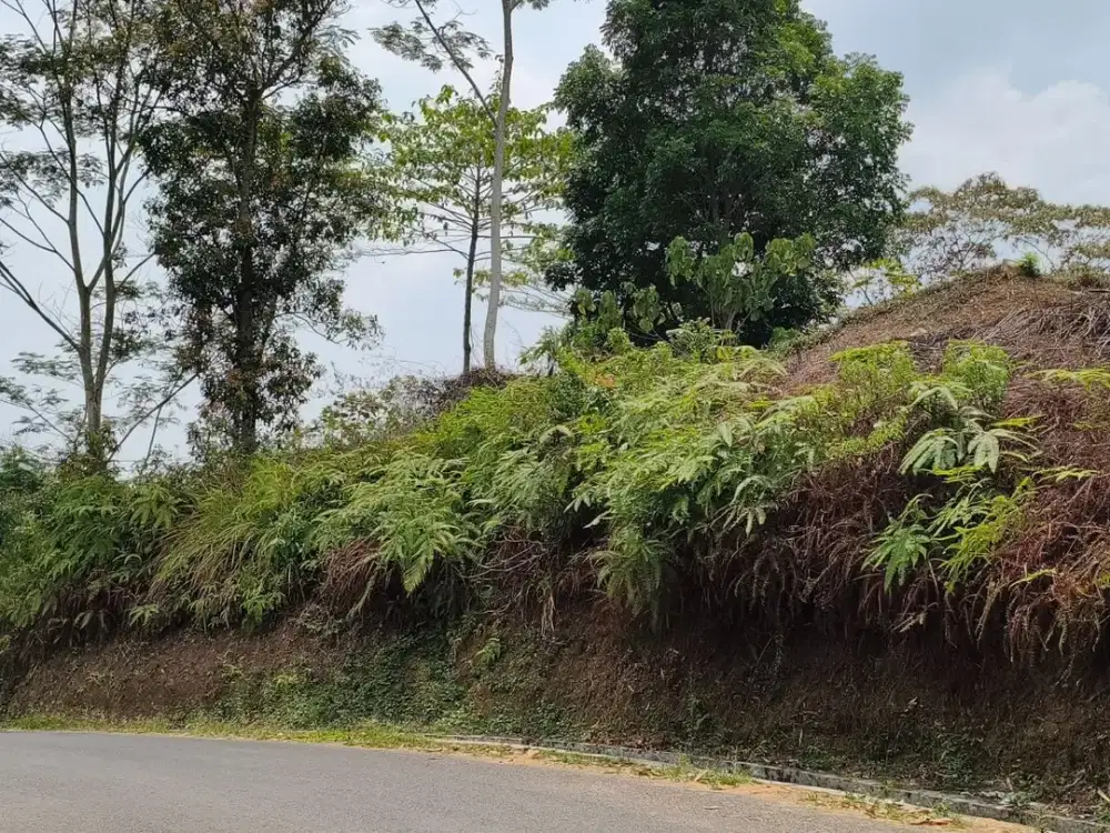 Tanah Kebun View Gunung Burangrang & Terasering Sawah di Darangdan Purwakarta