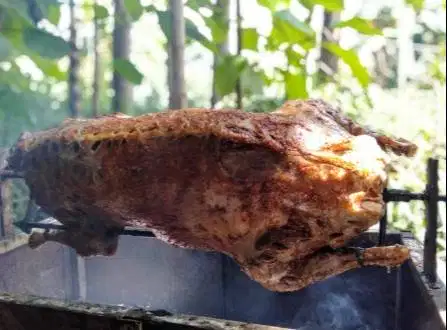 paketan kambing guling 1 ekor utuh bisa 50 porsi layak siap pesta puas