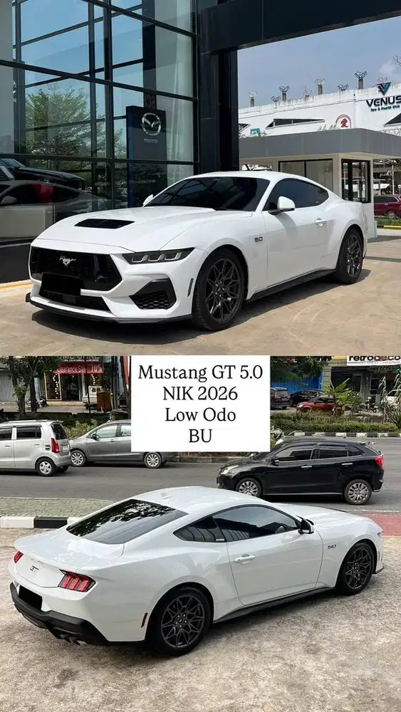 Ford Mustang GT 5.0