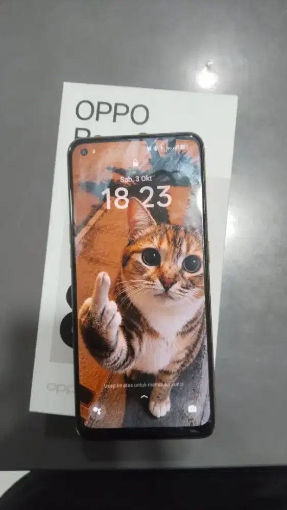 Oppo Reno 8t 4g Ram 8+8/256Gb