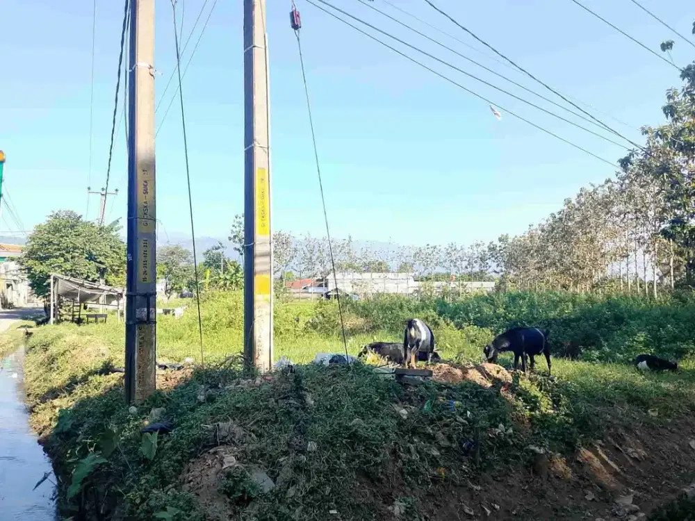 Dijual Cepat Sebidang Tanah Mainroad Majalaya - Cicalengka
Posisi Hoek, Hadap Barat Laut, Harga Dibawah Pasaran