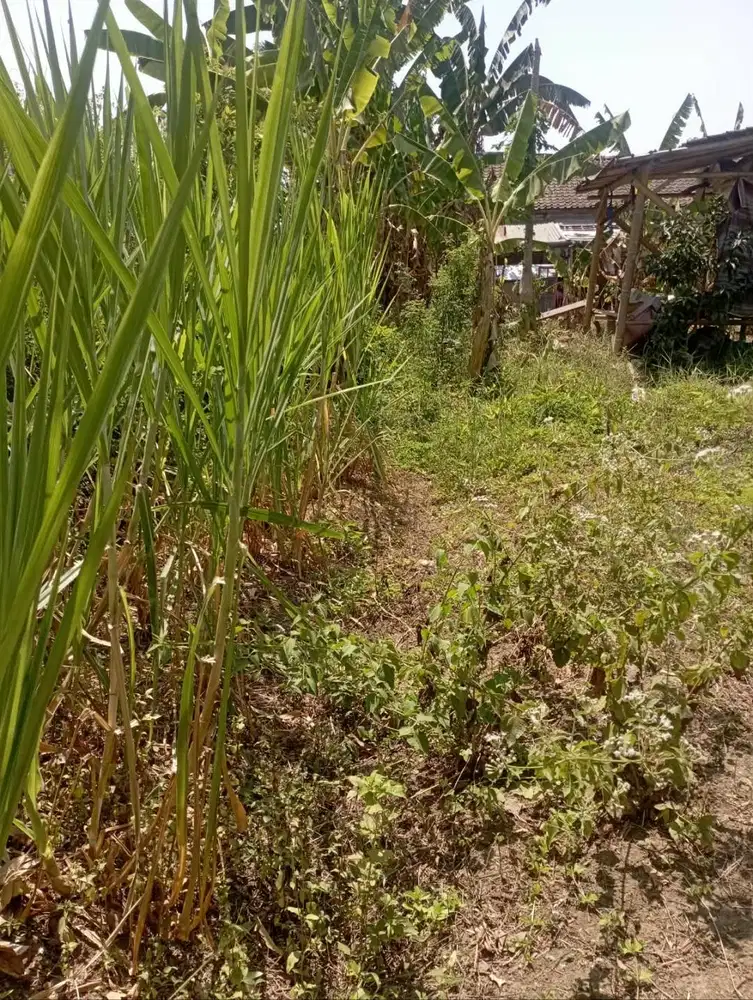 Jual Tanah dekat Artos
