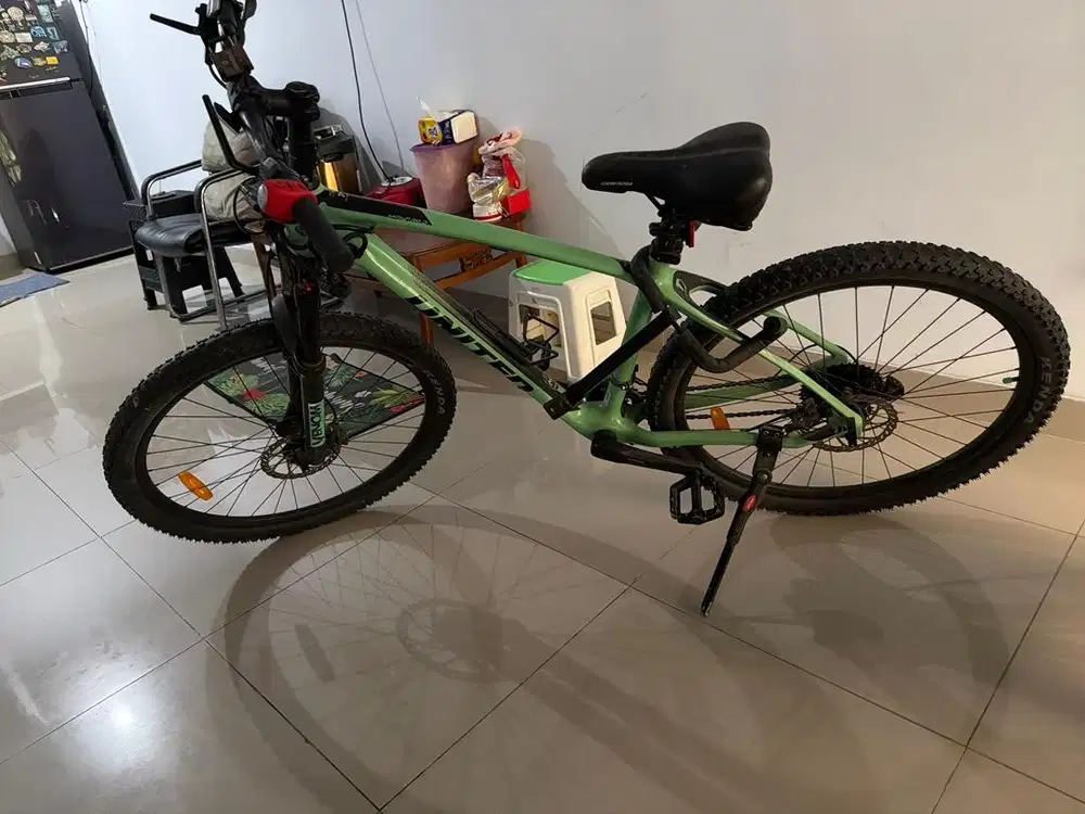 Sepeda united carbon seri manfred