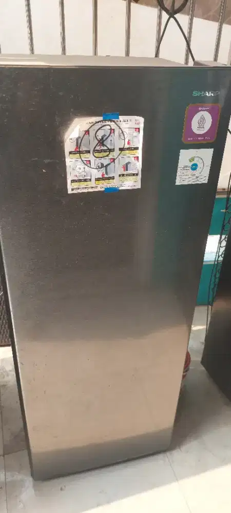 Standing Freezer