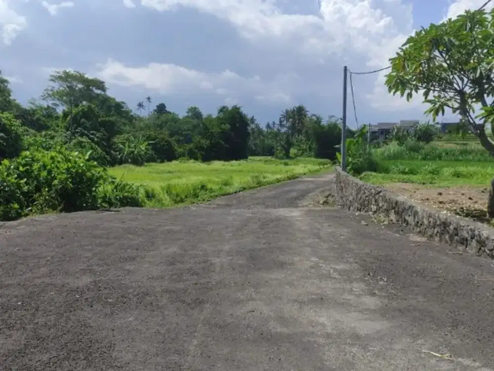 TANAH BYPASS IDA BAGUS MANTRA KETEWEL SUKAWATI GIANYAR