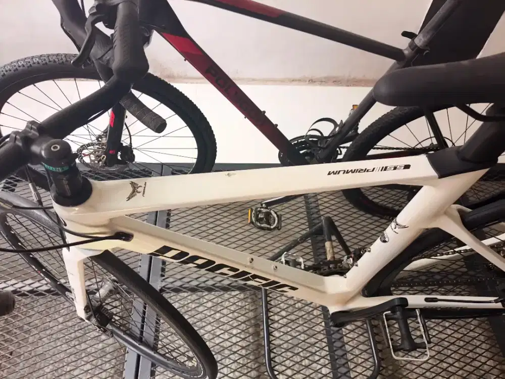 Road bike Carbon Pacific Primum 5.5 Baru