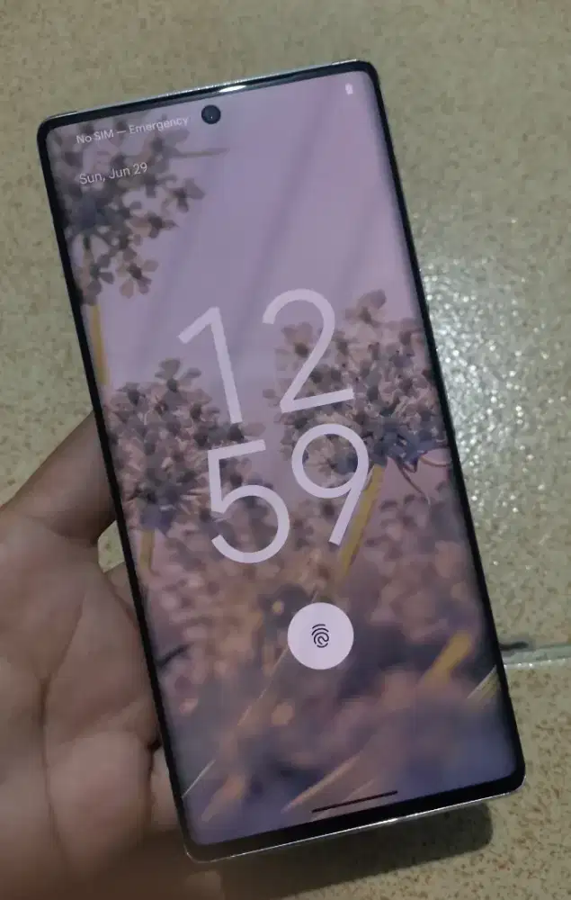 LCD Cabutan Pixel 6 Pro