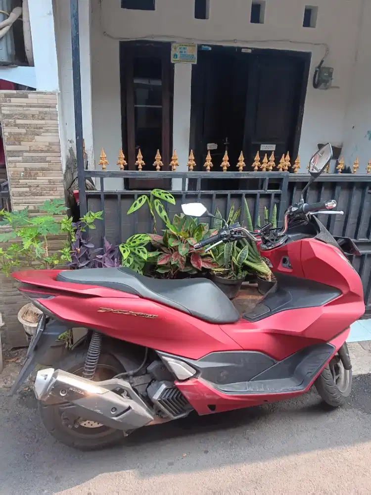 Honda pcx 2023 mesin ori rutin servis
