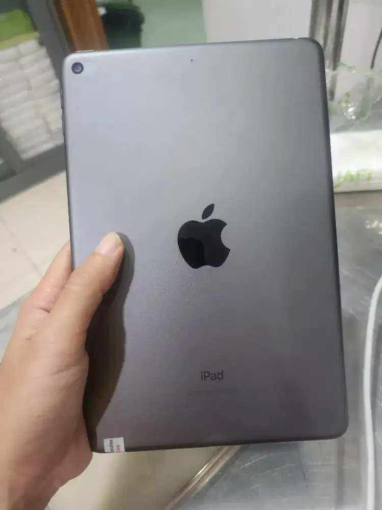 Apple Ipad mini abu