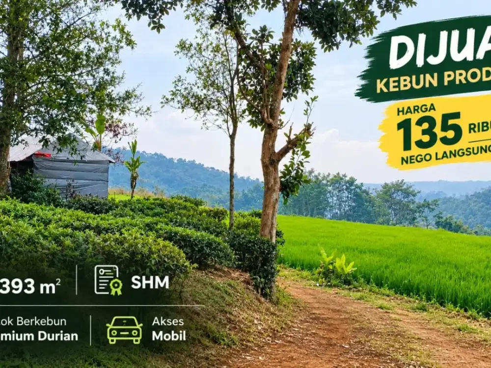 Dijual Lahan Kebun Produktif 5.393 m² di Bojong Purwakarta – Akses Mobil & Dekat Wisata