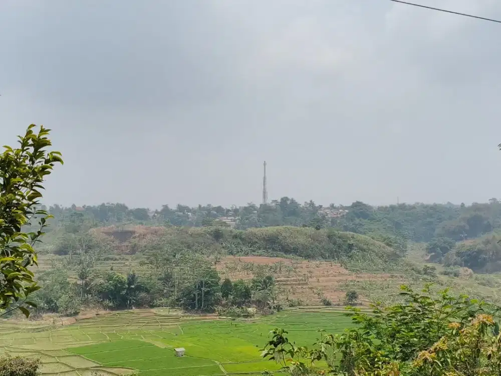 Kebun Produktif Premium di Darangdan Purwakarta – Akses Mobil & Bonus View Sawah Syahdu