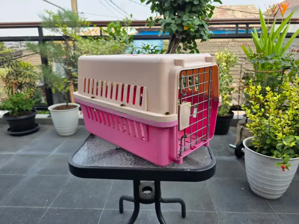 Pet Cargo Anabul