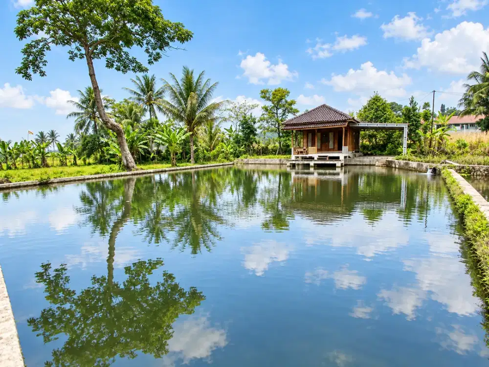 Jual Kolam Air Deras dengan Mata Air Langsung Bonus  Villa  di Pandeglang