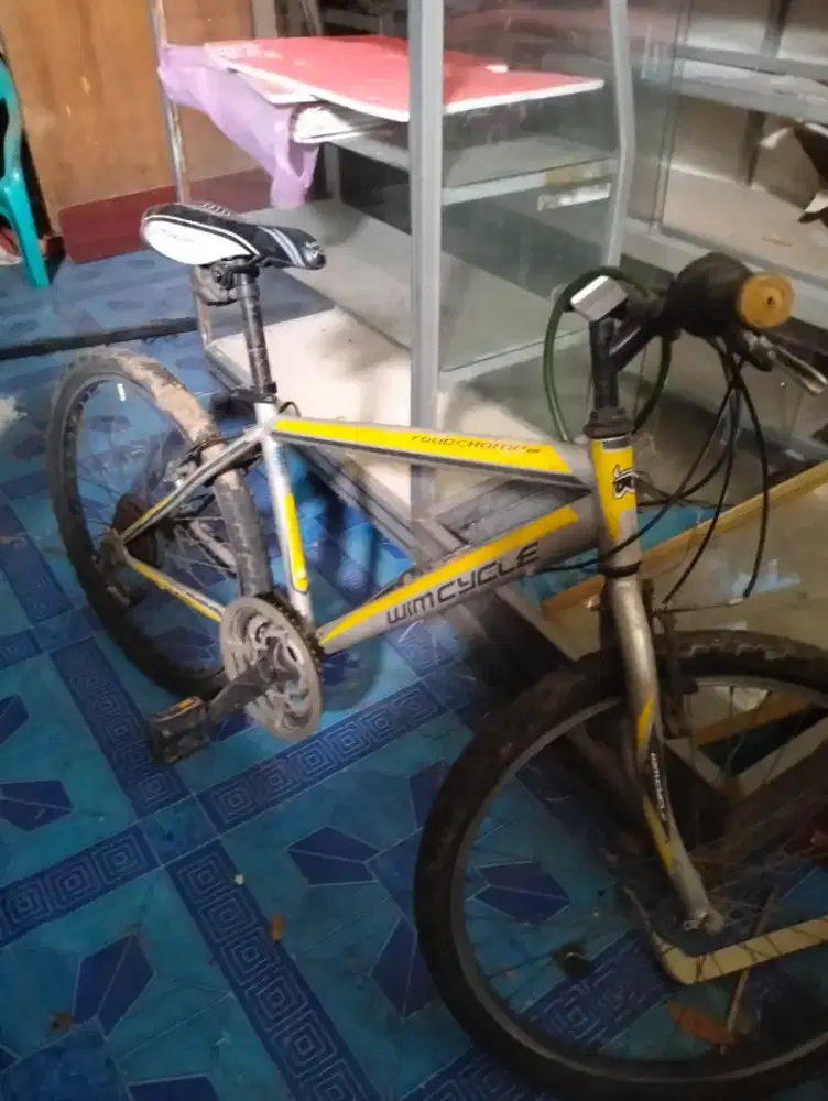 Jual 3 unit sepeda wimcycle