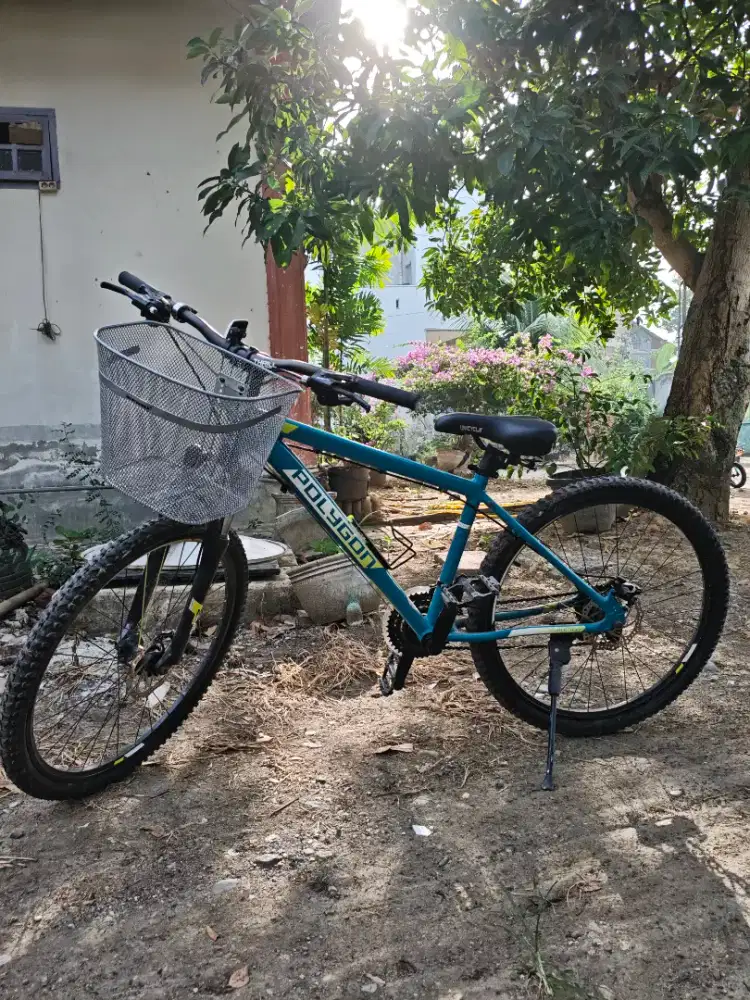 POLIGON SEPEDA DEWASA