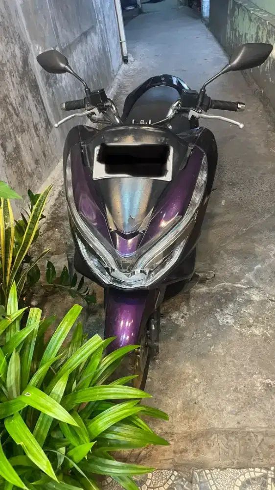 Moto Honda pcx ungu