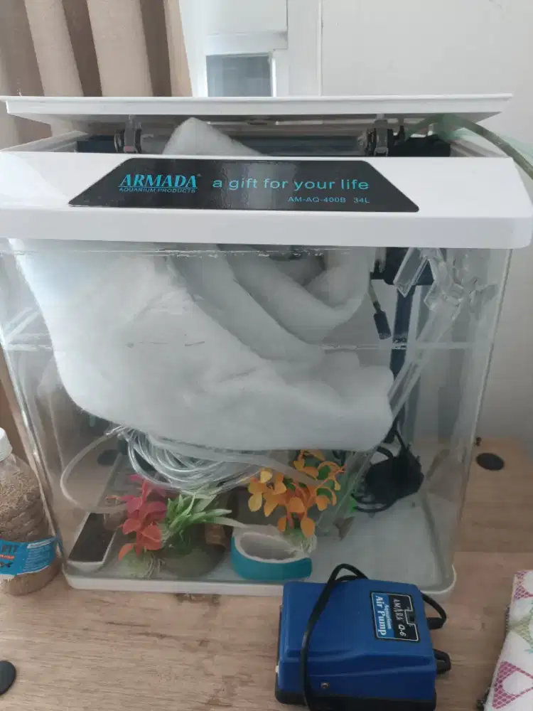 Aquarium Masih Baguss