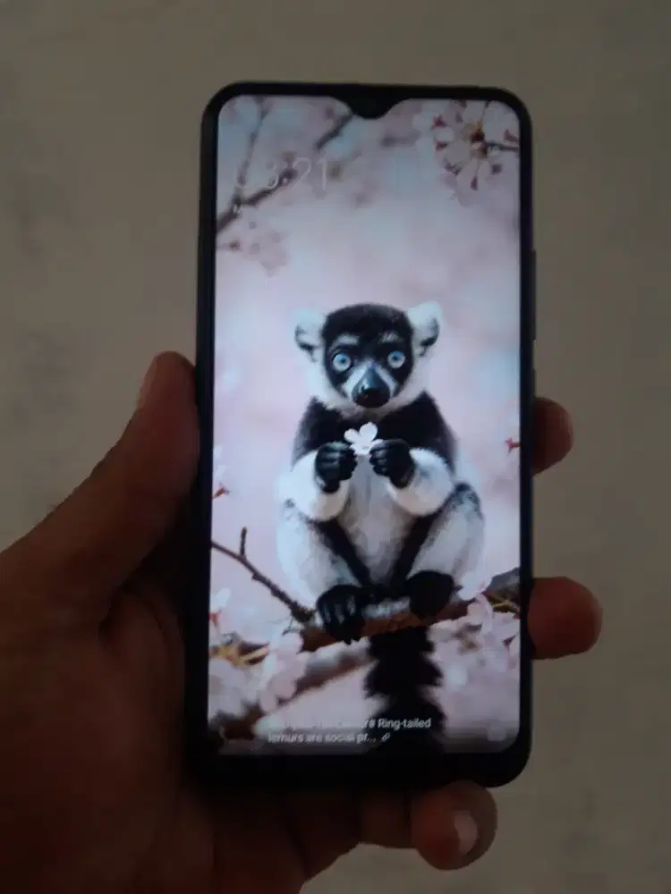 Vivo y12i 3/32gb