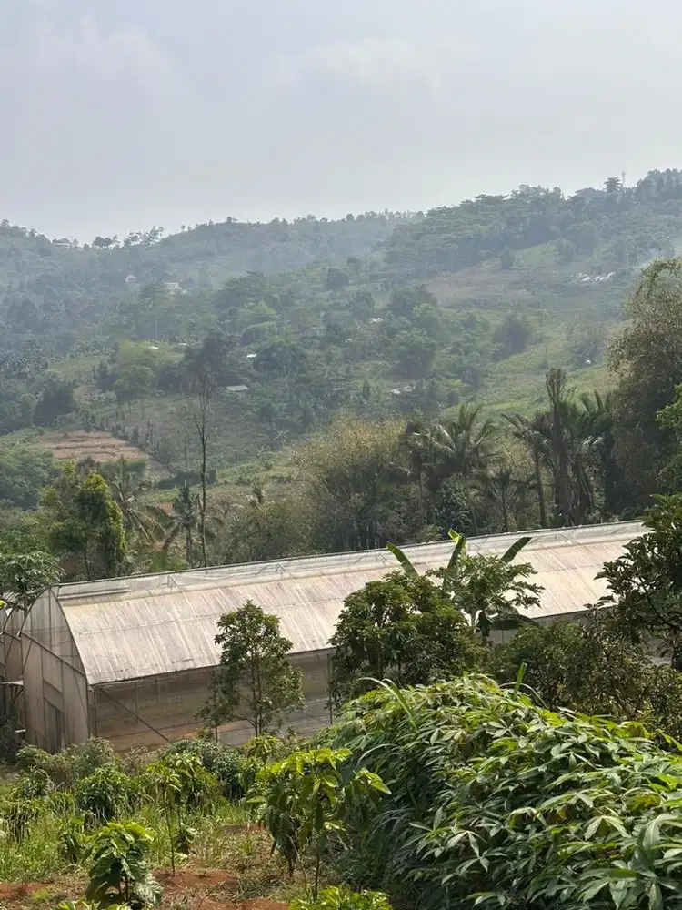 Green House disewakan