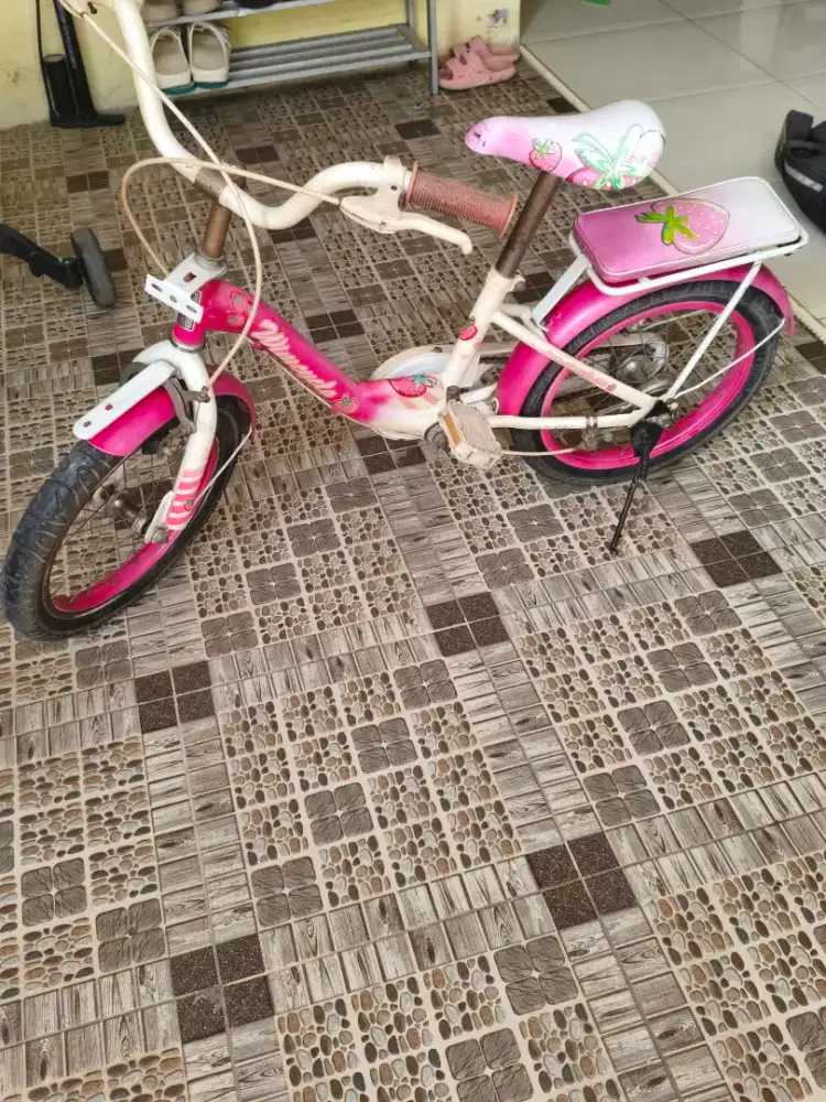 Sepeda anak dari wimcycle
