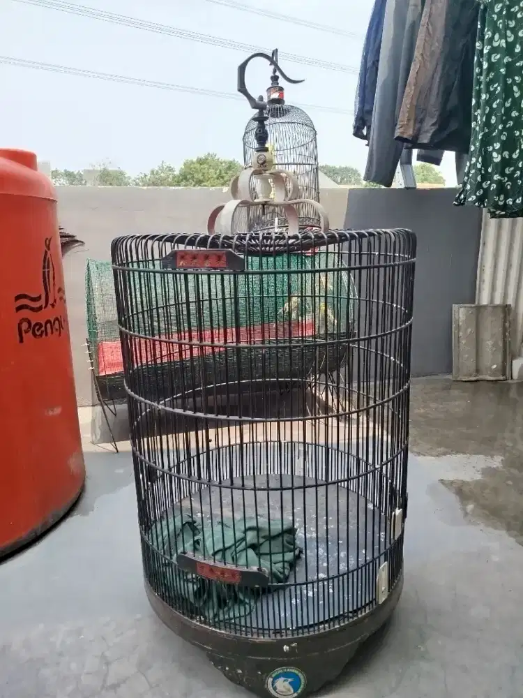 Kandang burung murai