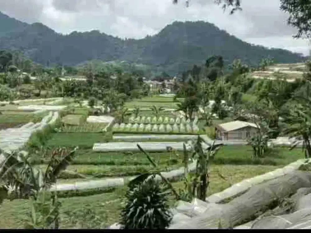 Dijual lahan  di Jl.Raya Puncak Cianjur