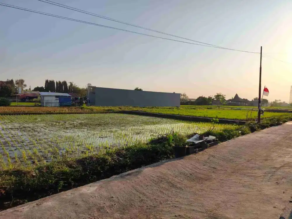Dijual Cepat  Tanah Pekarangan Murah view sawah dekat kampus UNISA, UNU, UNJAYA & sekolah Al Azhar