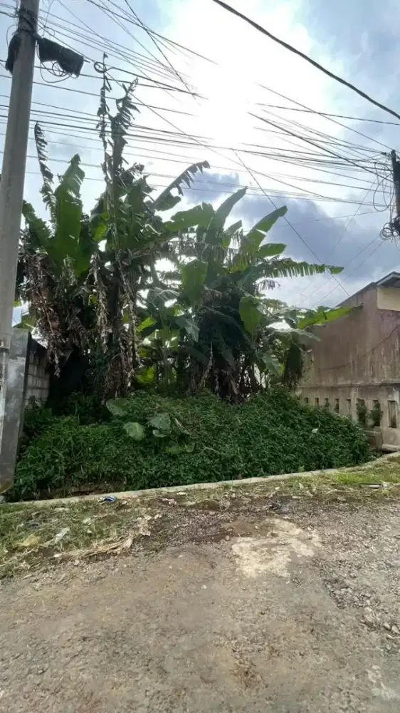 DISEWAKAN TANAH 300m2