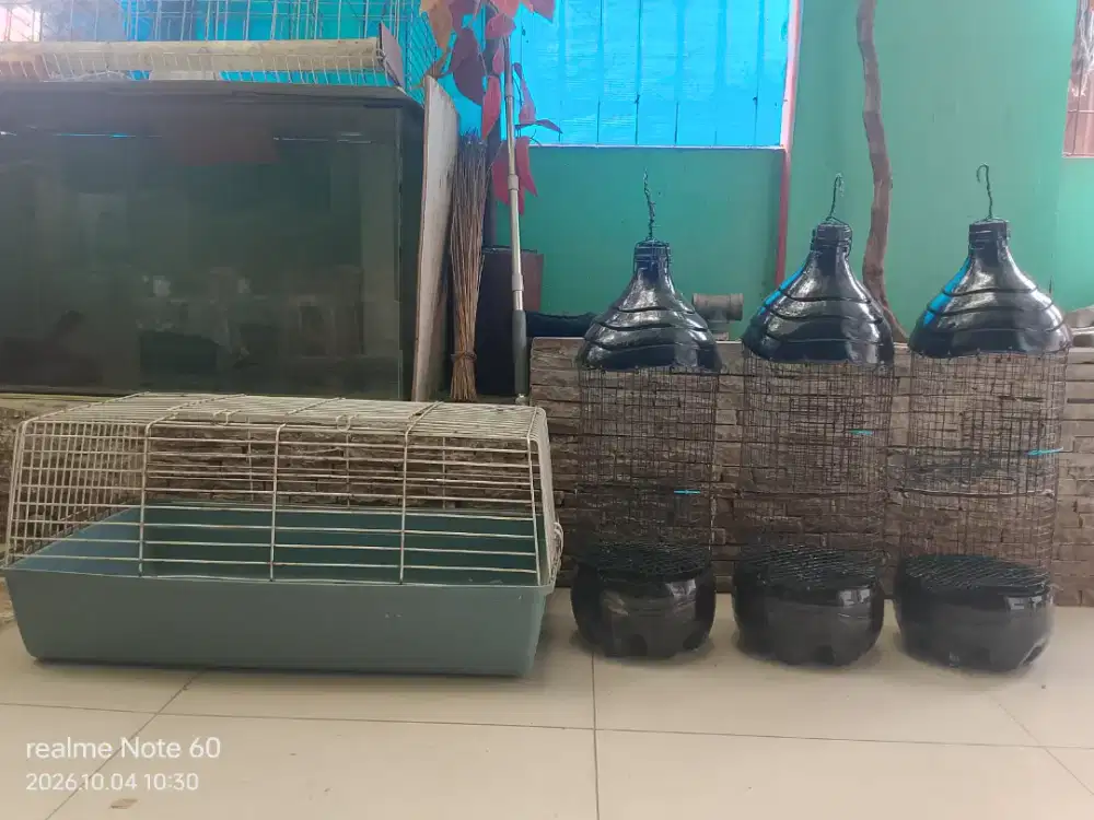 3 perkutut & 5 kandang