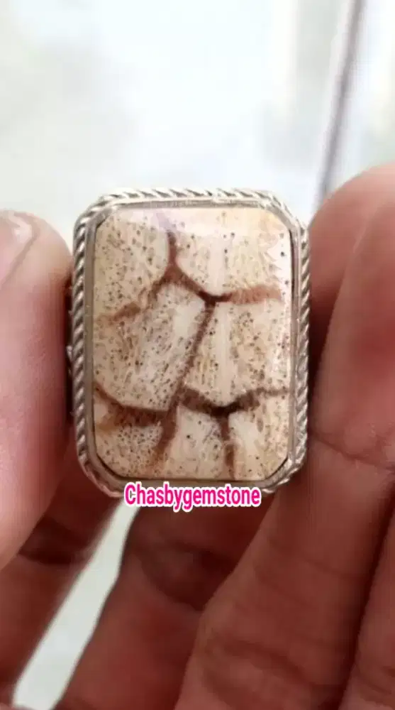 Natural batu marjan serat jala-Batu matjan koral serat kura