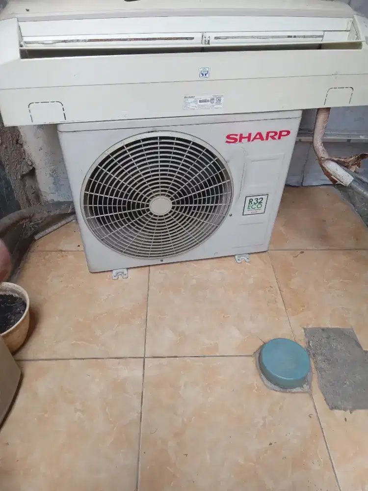 AC Sharp 1/2 PK