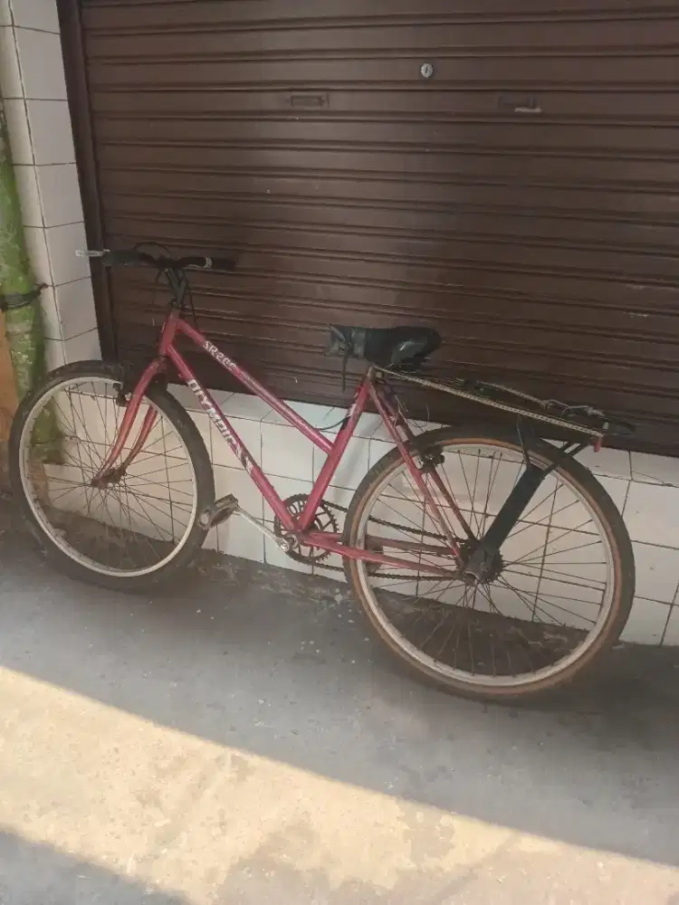 Sepeda dewasa  siap pakai