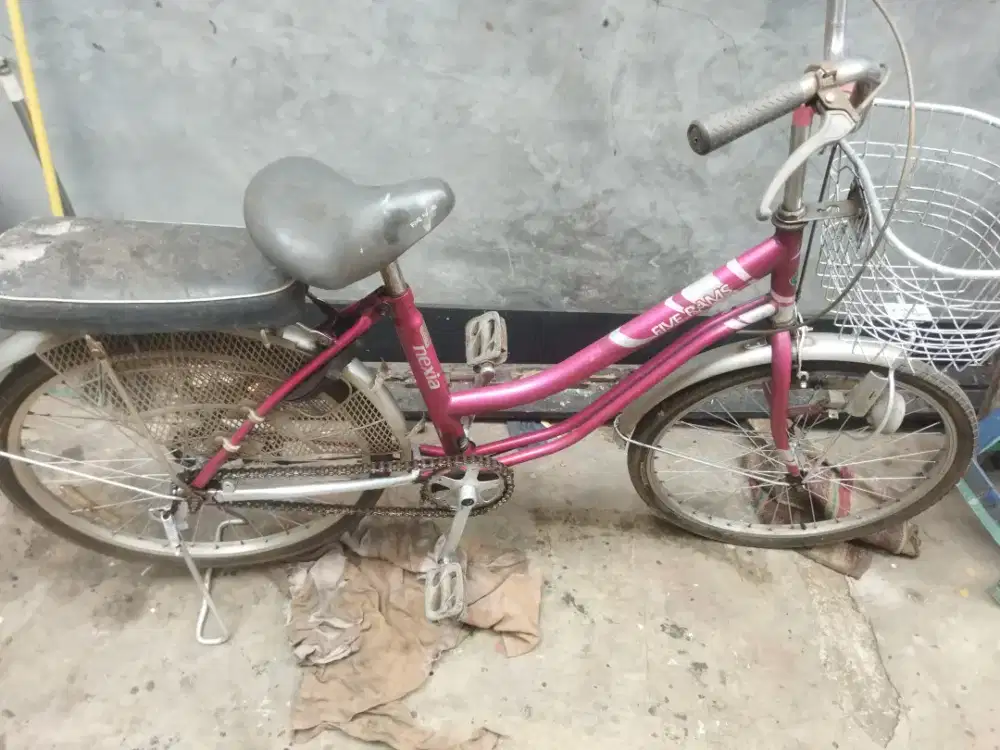 Sepeda mini 24 inc