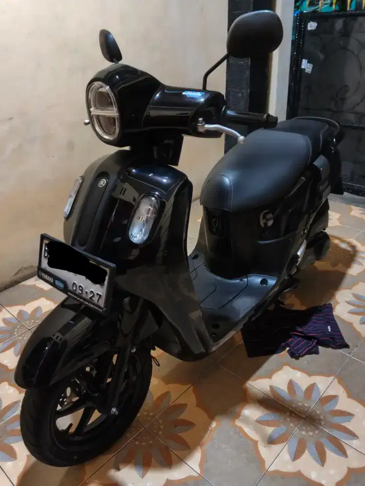 Fazzio 2022 keyless