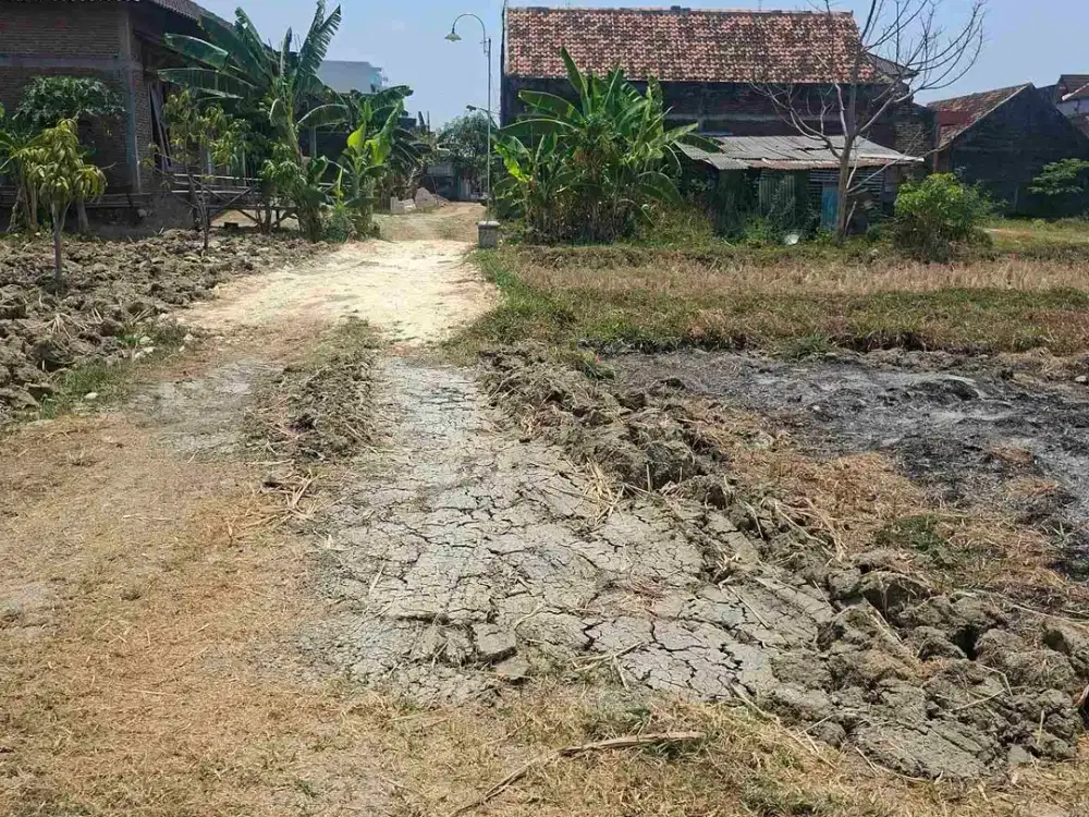 Tanah Kavling STRATEGIS Area Dekat Pusat Kota Purwodadi