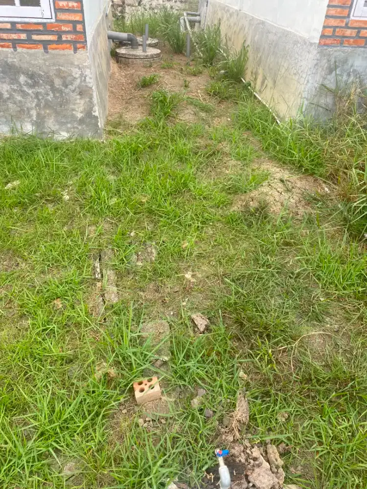 Tebas rumput Dan buka lahan