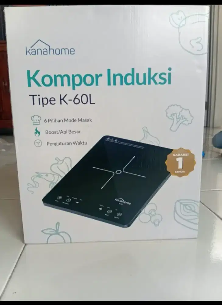 Kompor listrik induksi
