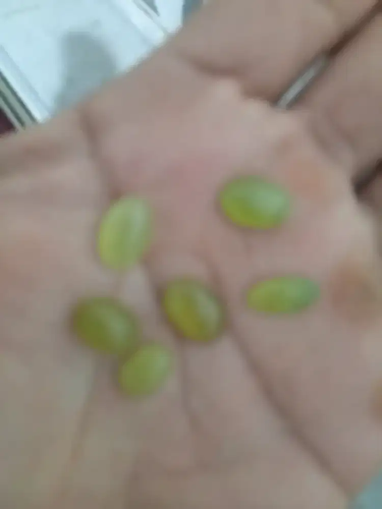 Borongan batu giok aceh kristal