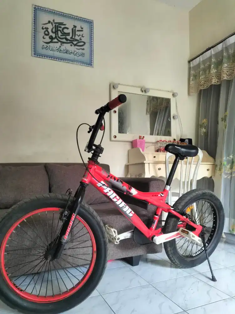 BMX PASIFIC X MEN 5.0 NOT POLYGON