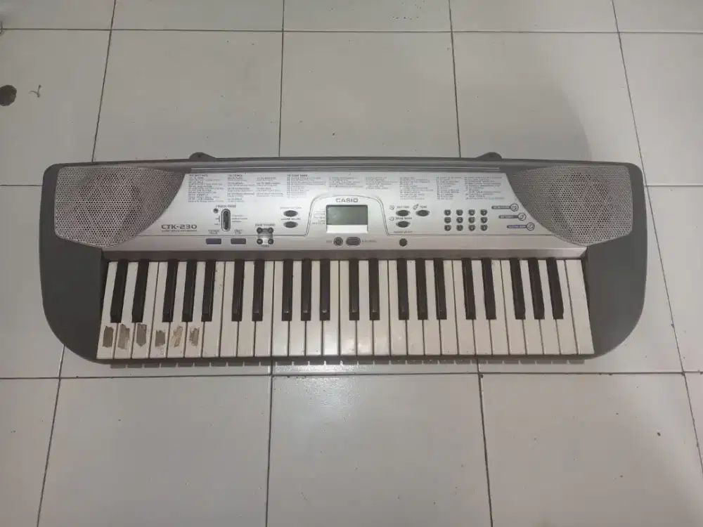 Casio ctk-230 minus