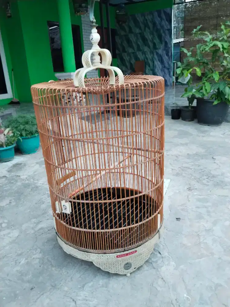 Sangkar murai ebod no 2