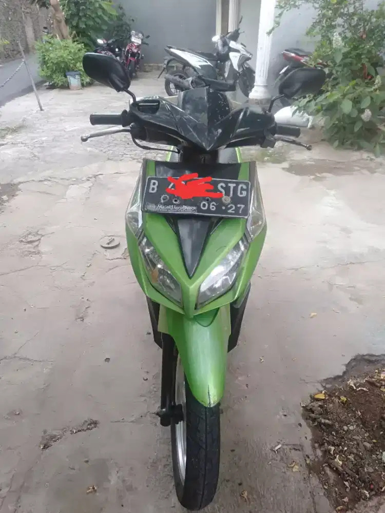 Vario ijo gress