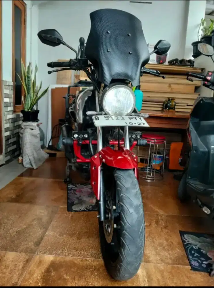 Honda Tiger 2010