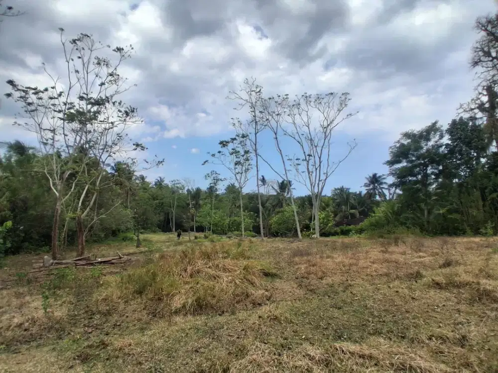 Dijual Tanah Murah Lokasi Strategis Kontur Datar dan Siap Bangun