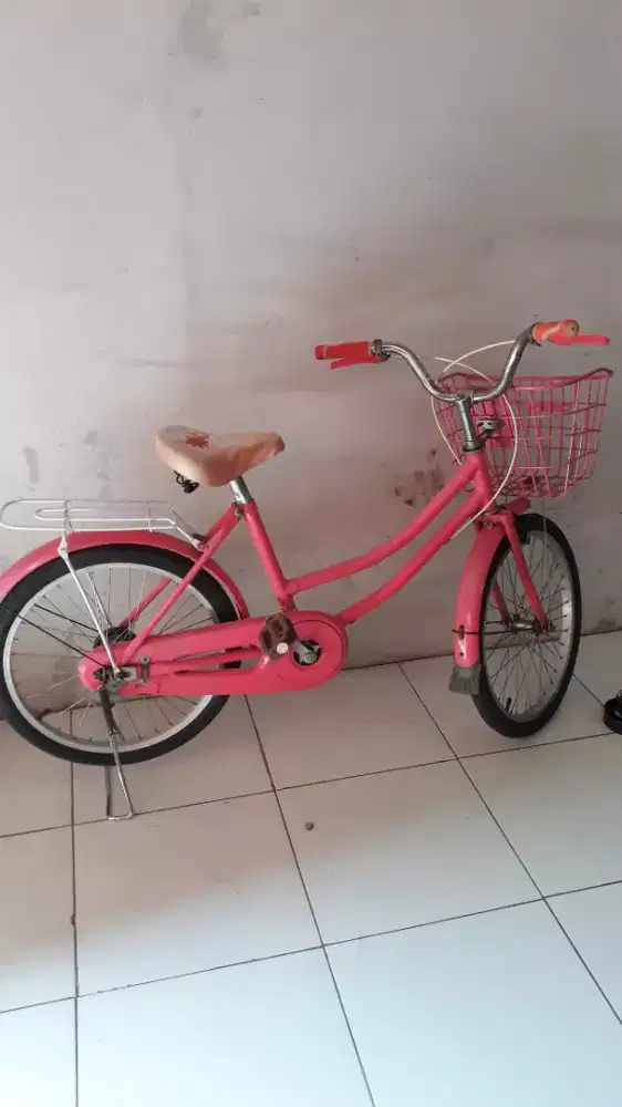 Sepeda Mini model Phonix 20