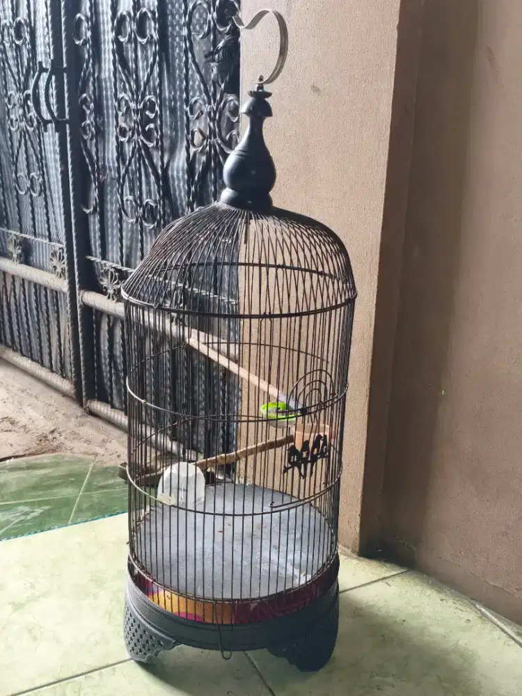 Kandang Besi Kapsul