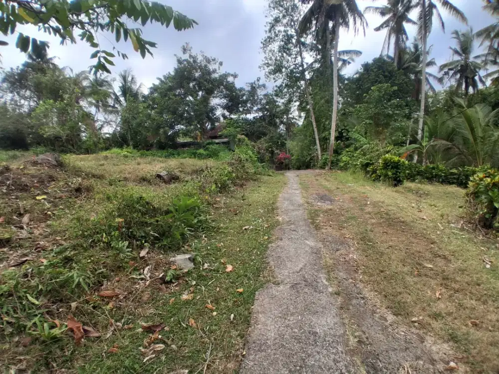 Dijual Tanah di Kawasan Pantai Balian Legalitas SHM