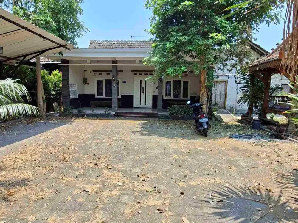 Disewakan Rumah Halaman Luas Murah Mlati Sleman Dekat Palagan